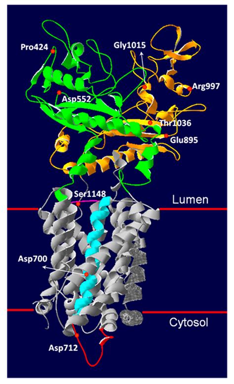 Molecular Genetics of Niemann–Pick Type C Disease in Italy: An Update ...