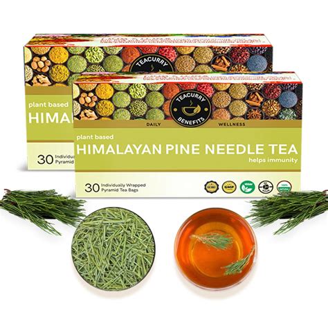 TEACURRY Himalayan Pine Needle Green Tea(2 Month Pack|60 Tea Bags ...
