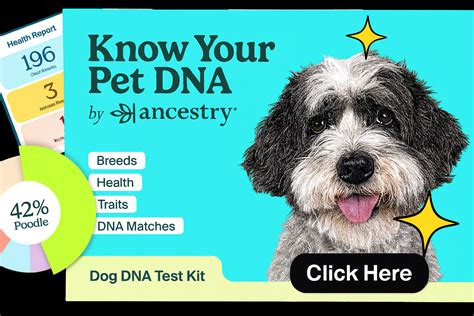 Serene Soursop Bitters: Benefits, Uses, and Caution