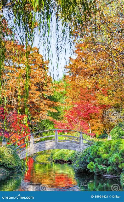 Moon Bridge in the Japanese Gardens Stock Image - Image of crimson ...