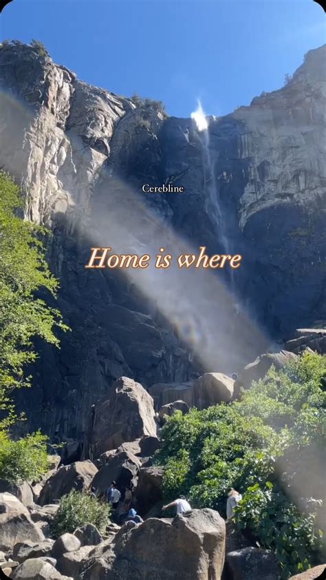 CEREBLINE | Your Wellness Partner🌻 (@cereblinne) • Instagram photos and videos