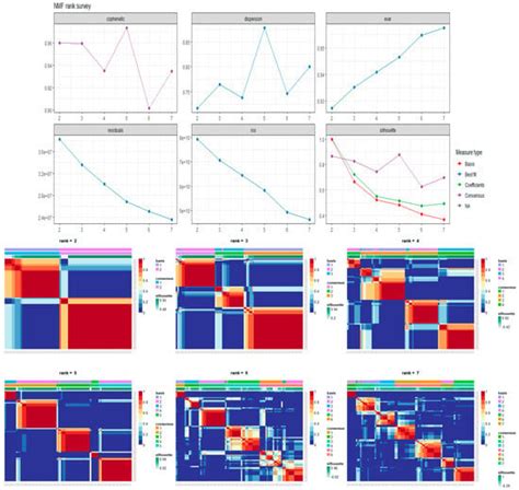 Review of Patient Gene Profiles Obtained through a Non-Negative Matrix ...