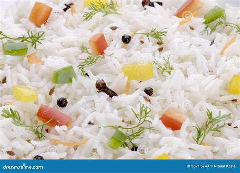 Cooked Basmati Rice stock image. Image of coriander, biryani - 36715743
