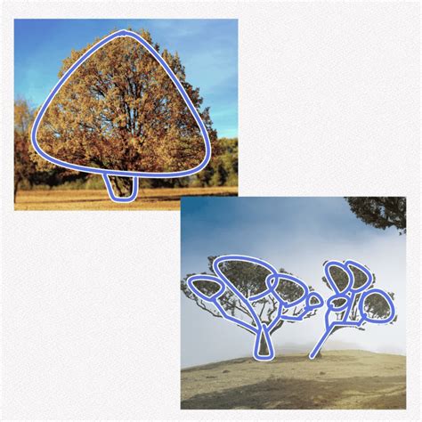Graph Using Equation to Draw Simple Tree 的图像结果