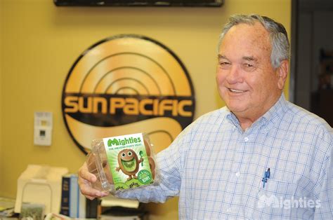 Sun Pacific Insurance Brokers at Vonda Tong blog