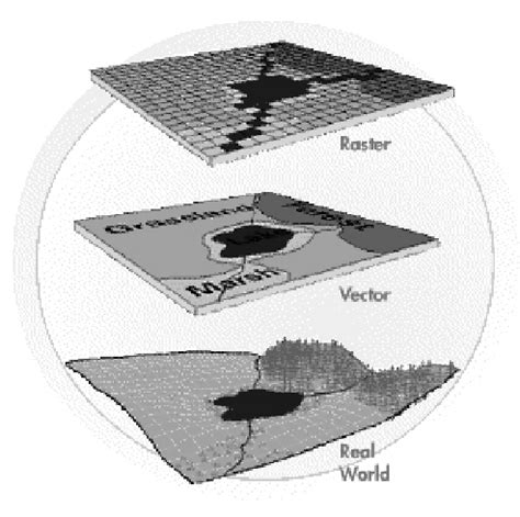 What Is Vector Map Data 的图像结果
