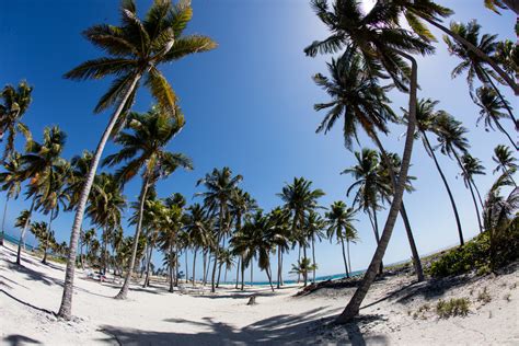 The Best Places To See Wildlife In Belize | Wildlife in Belize