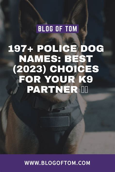 Image result for Code.org Direction