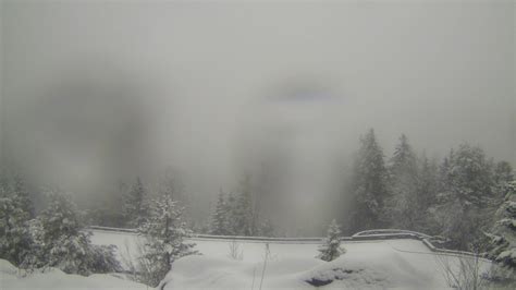 Newfound Gap Tn Weather