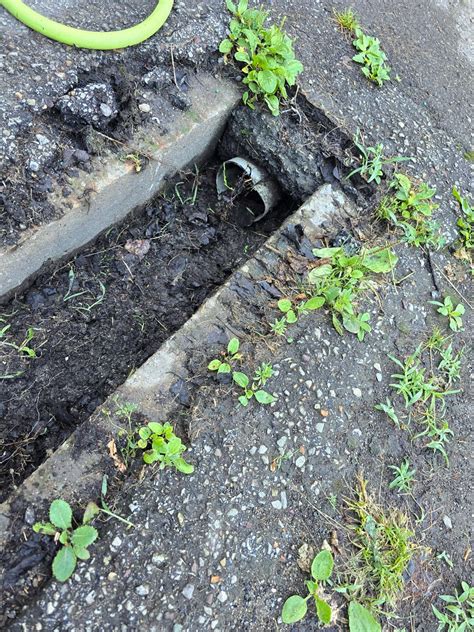 Clogged driveway drain pipe : r/DIY