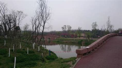 THE 10 BEST Resorts near Live-water Park, Chengdu