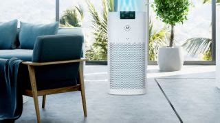 Motorola rolls out AP 450 air purifier in India - can it live up to the ...
