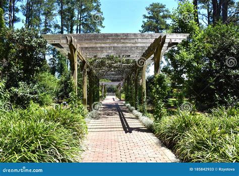 Cape Fear Botanical Garden, Fayetteville, NC Stock Image - Image of ...