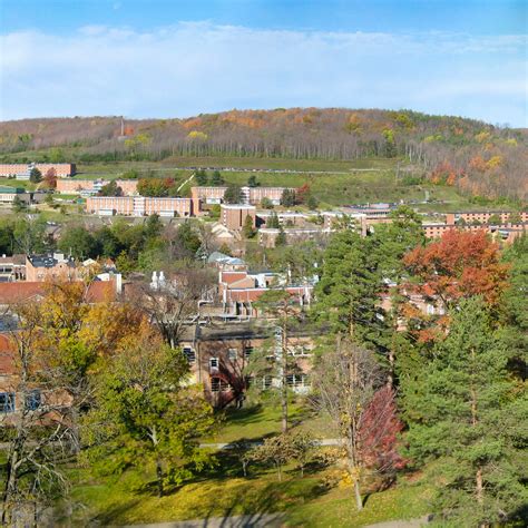 Alfred University Cost