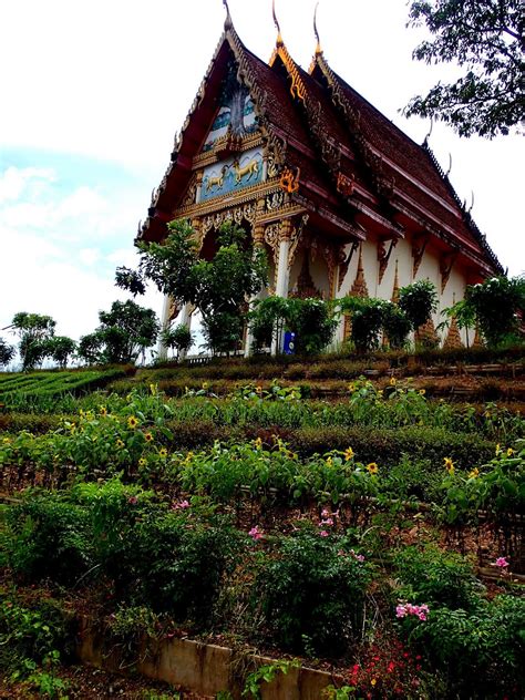 Thailand 的图像结果