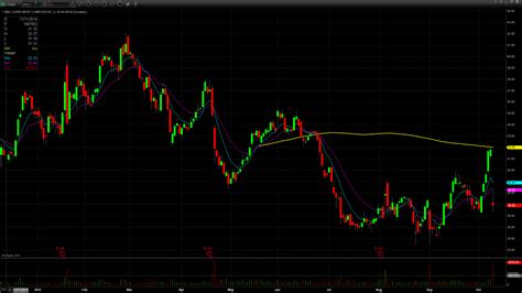 Analyzing the SMCI Stock Price: Trends, Forecasts, and Investment Considerations