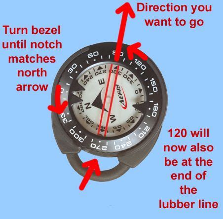 Compass Navigation Tips and Tricks 的图像结果