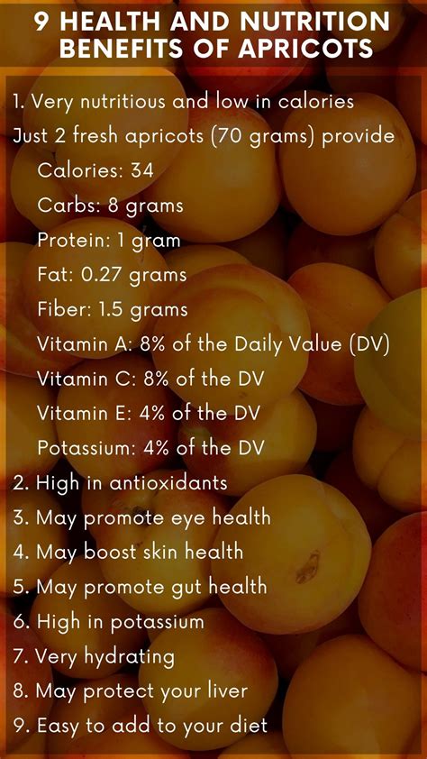 Apricot Kernels Health Benefits Dr Axe at Andrew Gillan blog