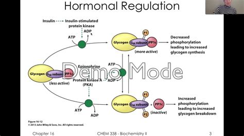 PP1 Learning 的图像结果