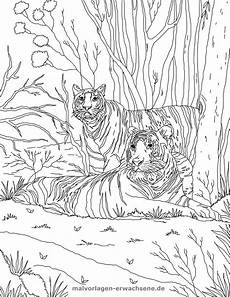 ausmalbilder tiere tiger malvorlage tiger gratis malvorlagen zum in ausmalbilder tiere tiger malvorlage tiger gratis malvorlagen zum in