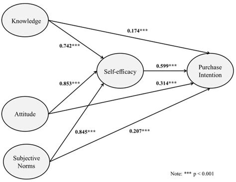 Sustainability | Special Issue : Customer Experience—through the Lens ...
