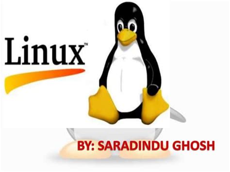 Image result for Linux Development History