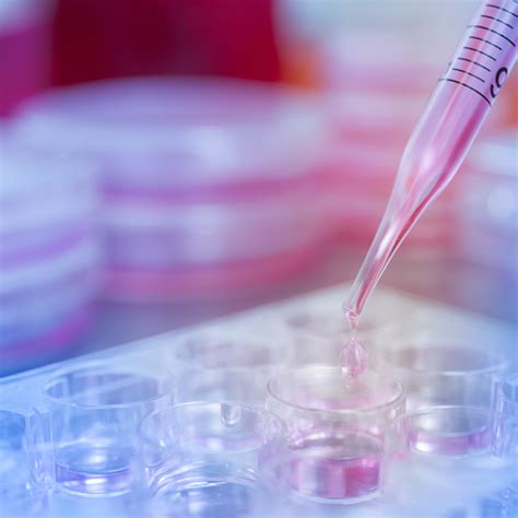 Retail & Consumer Channels - FutureBridge