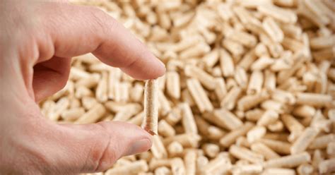 Making Pellets 的图像结果