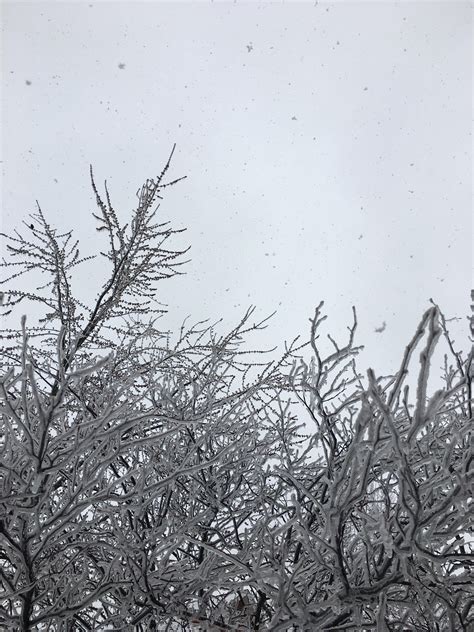 The middle of April. : r/pics