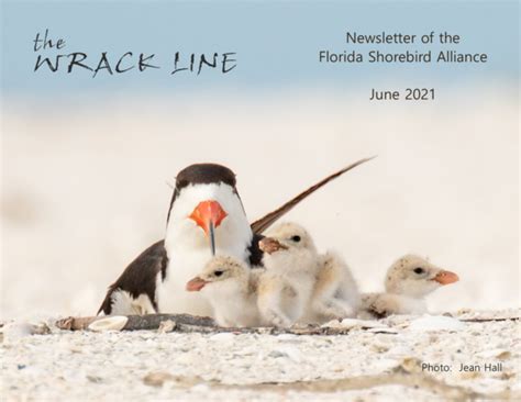 June Wrack Line Newsletter