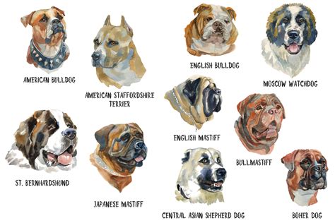 Best Guard Dog Names at Linda Redmon blog