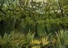 Two Lions On The Prowl In The Jungle - Art Prints by Henri Rousseau ...