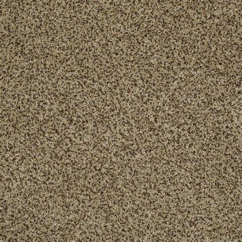 Shaw Private Oasis IV 8 x 11 Bahia Solid Area Rug at Lowes.com