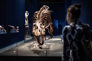 The history of mass extinction events on Earth