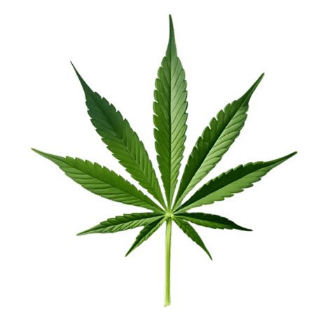 Marijuana Leaf PNGs for Free Download