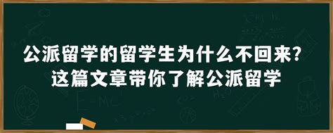 公派留学的留学生为什么不回来？这篇文章带你了解公派留学「环俄留学」