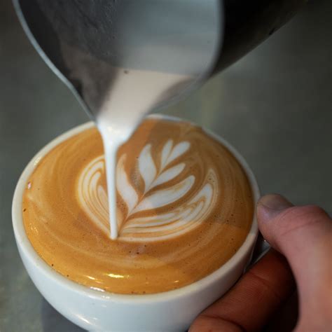 Small Batch Coffee Roasters - Speciality Coffee