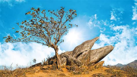 Mỏm Cá Heo Tà Xùa - Một tuyệt tác thiên nhiên giữa núi rừng Tây Bắc