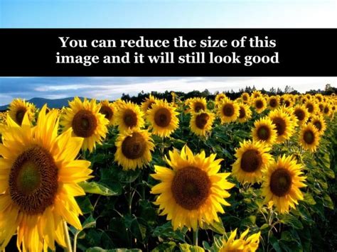 Image result for Imagem Bitmap