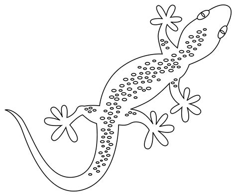 Gecko coloring page - ColouringPages