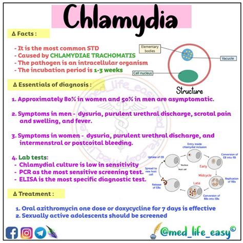 treat chlamydia