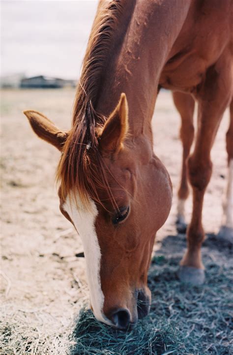 BLOG — Philip Eastman - Writer + Photographer