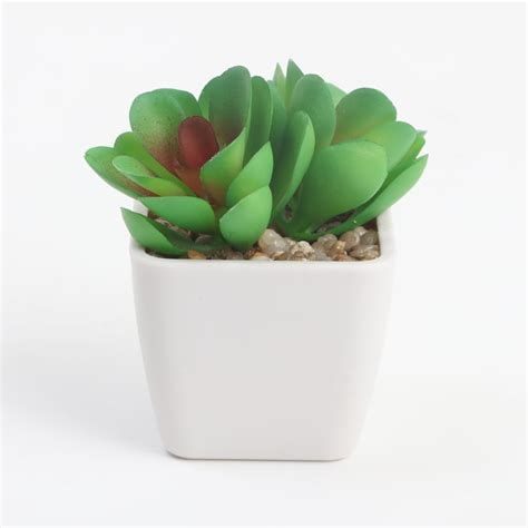 Buy Spinel Artificial Flaming Katty Succulent in Planter from Home ...