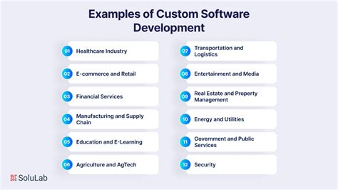 Image result for Custom Software Development Examples