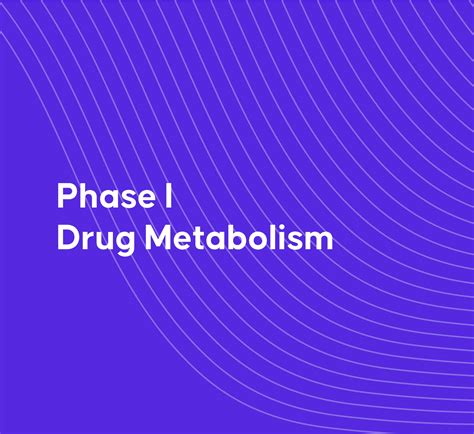 Phase II Drug Metabolism