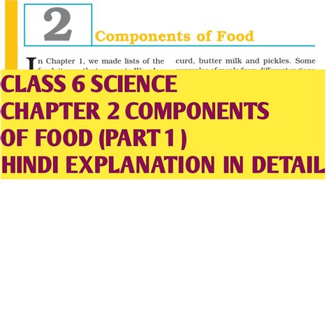 Image result for Chapter 2 Components of Food Extra Question Class 6