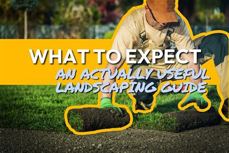 Average Landscaping Cost: An Actually Useful Guide