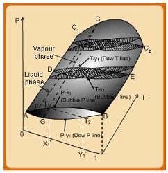 Description of General VLE Behavior - Additional Documents and Tests ...