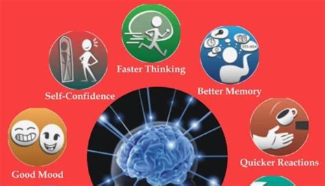 Image result for Brain Development Exercises