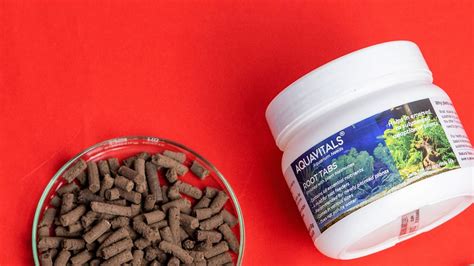 Aquarium Roots Rotting? Know What to Do in Such Cases – AquaVitals